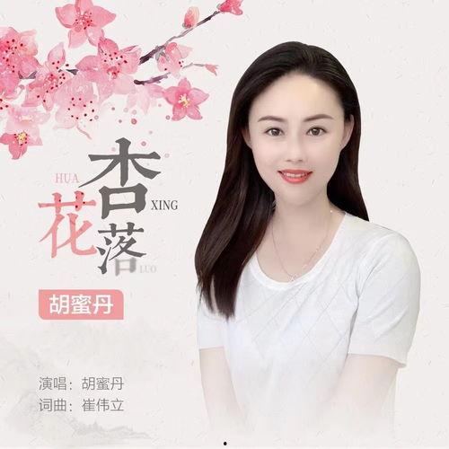 丹歌曲在线视频,沉浸式音乐之旅，感受旋律的魅力